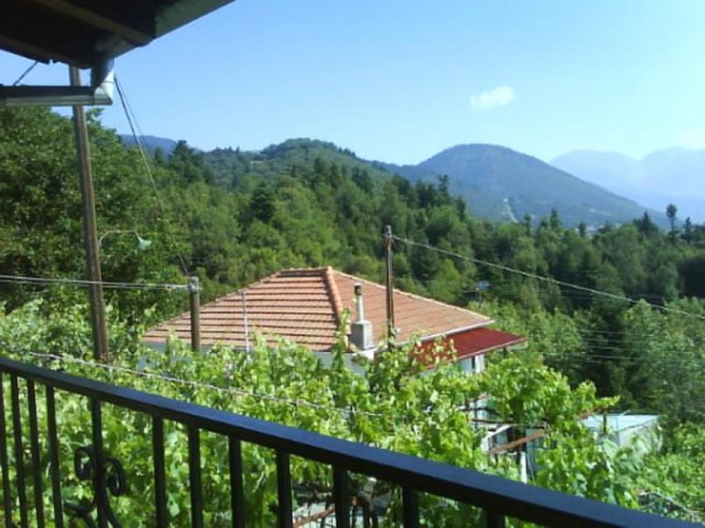 Elatos Rooms Mikro Chorio  Экстерьер фото
